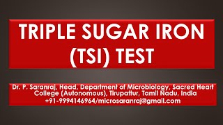 Triple Sugar Iron TSI Test [upl. by Sueaddaht780]