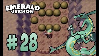 Pokémon Emerald Walkthrough Part 28  Seafloor Cavern [upl. by Bessie136]