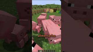 a capitan gato le sale bien ser un chancho shorts minecraft [upl. by Brianne]