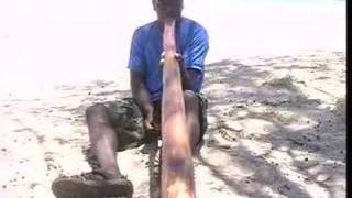 Special promotion Free Memawuy didgeridoo [upl. by Hgielrak]