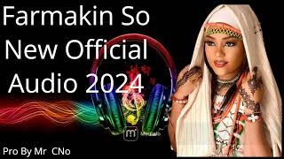 Auwal Sadiq Farmakin So Official Audio 2024 [upl. by Annaear]