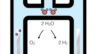 Elektrolyse met het toestel van Hofmann [upl. by Annahael566]