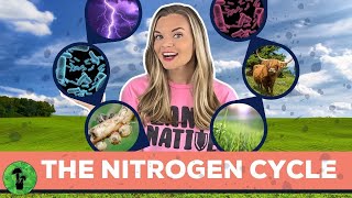 The Nitrogen Cycle [upl. by Atnahsa]