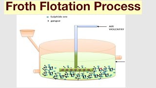 Froth Flotation Process [upl. by Eita]