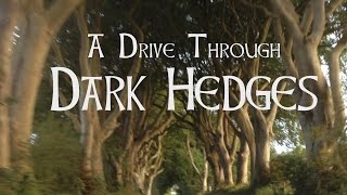 The Dark Hedges  what its like to drive through [upl. by Ariay]