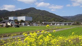 「土器山」（佐賀県神埼市）でドローンを飛ばしてみた [upl. by Nnyla570]