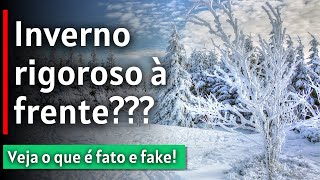 ONDA DE FRIO EM MAIO É SINAL DE INVERNO RIGOROSO – O QUE OS MODELOS ESTÃO PREVENDO  19052022 [upl. by Akinak]