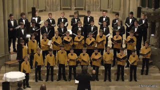 Göttinger Knabenchor quotPühaquot Urmas Sisask Johanneskirche Stuttgart 04102016 [upl. by Seabrook273]