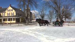 HorseDrawn Sleigh Rides [upl. by Ias467]