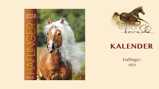 Haflinger Kalender 2024 [upl. by Akihsar]