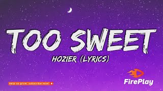 Hozier  Too Sweet Lyrics 🔥 i take my whiskey neat [upl. by Cusick395]