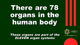 How many organs are in the human body [upl. by Kale708]