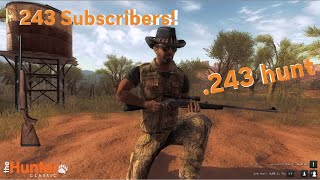 243 hunt for 243 Subscribers  The Hunter Classic [upl. by Iznyl]