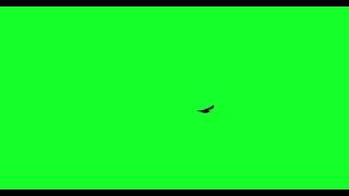 GREEN SCREEN  DIFFERENT FLOCKS OF CROWS [upl. by Rosette448]