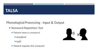 22 Assessment of Language Processing in Aphasia [upl. by Ursola126]