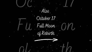 OCTOBER’S Magical Calendar  Full Moon of Rebirth Solar Eclipse Samhain Halloween and more [upl. by Yanat887]