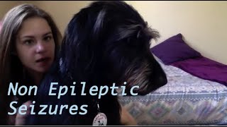 PNES Non Epileptic Seizures What is itMy story [upl. by Ludvig]