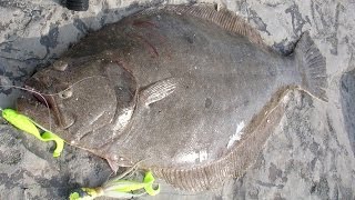 Inlet Flounder Fishing  6pound Fluke on the Rocks [upl. by Dnaleel127]