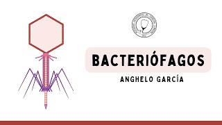 BACTERIÓFAGOS Ciclo Lisogénico y Ciclo Lítico  Microbiología [upl. by Roath]