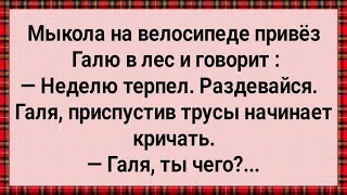 Как Мыкола в Лес Галю Возил Сборник Свежих Анекдотов Юмор [upl. by Vivica]