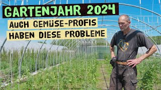 Erfolge und Misserfolge im Garten Warum Selbstversorgung 2024 nicht einfach ist Gemüsegarten Juli [upl. by Aifas]