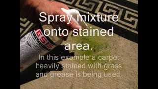 Best Stain Remover amp Carpet Cleaner  Genesis 950 [upl. by Eiderf]