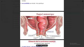 Physiologie DigestiveContinence anale [upl. by Goodden183]