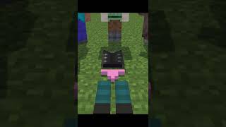 Rate My Raid Outfit minecraft shorts minecraftadventure minecraftfun [upl. by Husha]