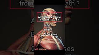 Anatomy part 50 humananatomy biology pubquiz quizblitz pubentertainment facts virtualpubquiz [upl. by Sanoj]