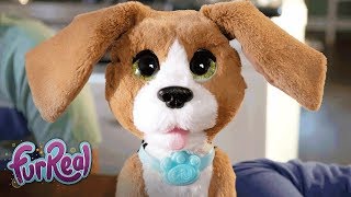 FurReal Friends Nederland  Nieuw Chatty Charlie de Blaffende Beagle [upl. by Ahsyek]