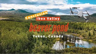 Drone  Relaxing  Best 3 Minutes At A Beaver Pond Conclusion  Yukon Canada [upl. by Carleton]