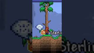 Tips de terraria que talvez no conocías😮 parati terraria xd gaming [upl. by Feetal]