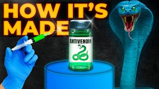 How Antivenom Is Really Made From Venom [upl. by Hanfurd30]