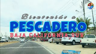 Pescadero Baja California Sur y sus fresas con crema [upl. by Yrocal500]