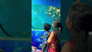 Badvel exhibition 💥💥ytshorts trendingshorts Hanvitha’s world enjoy 🥳🥰🥰🥰 [upl. by Jerri767]