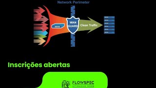 Wanguard  Flowspec Solutions anti ddos [upl. by Googins900]