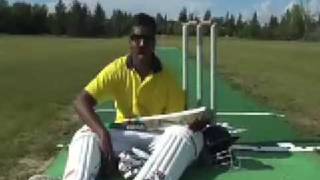 The CRICKET song by Wilbur Sargunaraj [upl. by Dace]