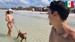 SE NOS ARRUINARON LOS PLANES EN HOLBOX MÉXICO 🇲🇽 [upl. by Bilak282]