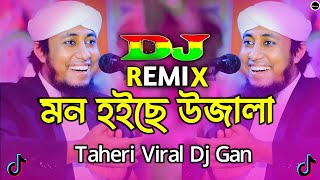 মন হইছে উজালা RemiX  Tik Tok Viral Dj  Mon Hoice Ujala Dj  Taheri New DJ Song  Dj Gan 2024 [upl. by Urion889]