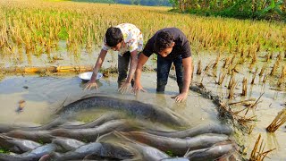 New hand fishing video big cat fish amazing fish [upl. by Yht]