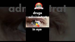 administering eye dropsgnm MBBSneetneet2024tearndingdrugsbscnursing medicaleyefactsshorts [upl. by Bobine698]