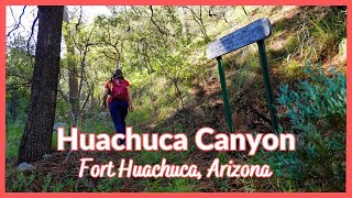 Trails of the Huachucas TRAIL GUIDE VS ALLTRAILS  Huachuca Canyon  Sierra Vista Arizona [upl. by Yeknarf]