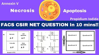 Flow cytometry data analysis FACS amp Apoptosis CSIR NET Life SciencesDec2019Dec2012Dec2014 [upl. by Dlorah]