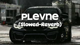 Plevne slowedreverb Music MP3 Turkish Songaestheticslowed79 [upl. by Odraleba334]