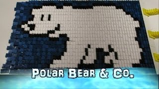 Polar Bear amp Co [upl. by Anoiuq697]