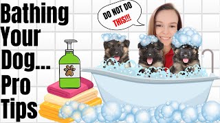 Bathing your German Shepherd Pro Tips from Madison [upl. by Rothmuller]