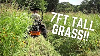 MOWING 7 FT TALL GRASS  Mowing Tall Thick Grass Extremely Overgrown with Scag Zero Turn Mower [upl. by Bywoods]