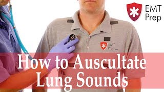 How to Auscultate Lung Sounds  EMTprepcom [upl. by Sualkin]