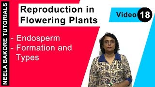 Reproduction in Flowering Plants  NEET  Endosperm  Formation and Types  Neela Bakore Tutorials [upl. by Esac]