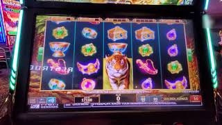 Risk vs Caution  Golden Jungle  Advantage Play  How to Beat Slot Machines [upl. by Alvis729]